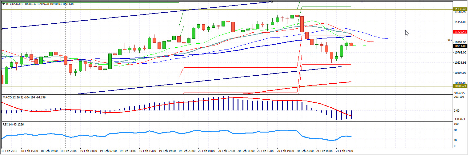btc(21.02.18)