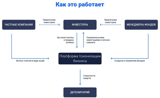 Как работает криптовалютный фонд - схема работы