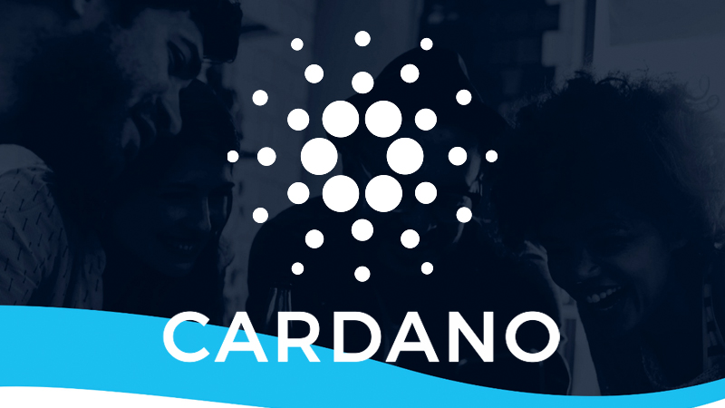 Cardano Team. Hardfork. Cardano Daily.