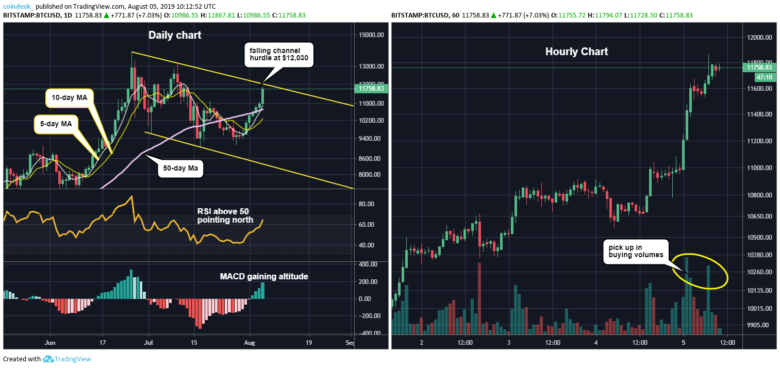 BTC-daily-and-hourly